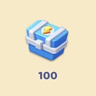 100  Coffret Surprise