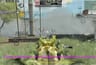 Гайд по обновлению Call of Duty Mobile Season 3: Paranoia