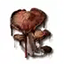 Bloodcap