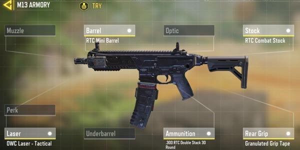 m13.jpg