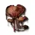 Blood Cap