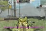 Call of duty mobile 시즌 3: Paranoia 업데이트 가이드