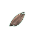 Broken Wing Polarizer.png