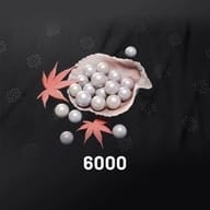 6000+1200 Echo Beads