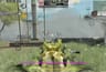 Call of Duty Mobile Saison 3: Paranoia Update-Guide