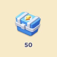 50 Coffret Surprise
