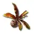 Blighted Jadeleaf