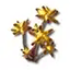 Chrysodendra