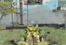 دليل تحديث الموسم 3 من Call of duty mobile: Paranoia