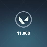 11000 Punti